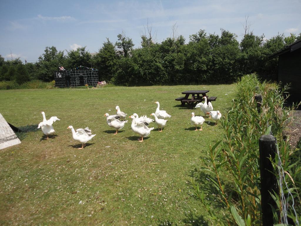 Willow Court Farm The Lodge & Petting Farm, 8 Mins From Legoland & Windsor, 15 Mins From Lapland Uk Exterior photo